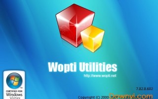wopti优化大师软件下载，wopti优化大师软件免收费下载安装