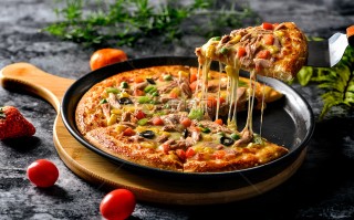 美味的披萨下载正版官方版游戏下载，安卓苹果ios版本下载