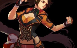 dnf极武圣_110版本极武圣加点