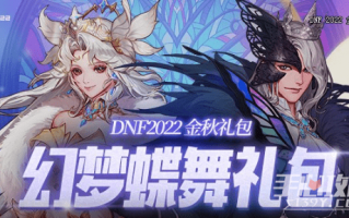 dnf国庆送2个花篮_dnf国庆送几个花篮