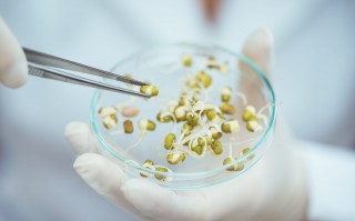 ogm软件下载，ogm软件免收费下载安装