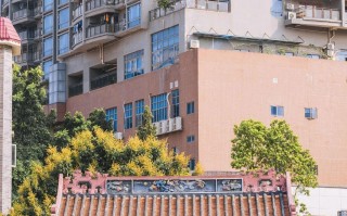 凤凰山下官方版游戏下载，凤凰山下安卓游戏下载