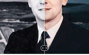 remini 油画官方版游戏下载，remini 油画安卓游戏下载