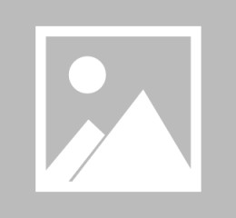 光明记忆怎么玩正版手游，光明记忆手游下载