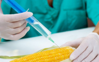 ogm软件下载，ogm软件免收费下载安装