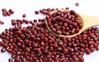 红豆视频直播下载，红豆视频直播免收费下载安装(红豆视频直播免费应用信息红豆视频直播免收费应用信息)