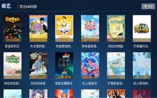 流星雨影院tv官方版游戏下载，流星雨影院tv安卓游戏下载