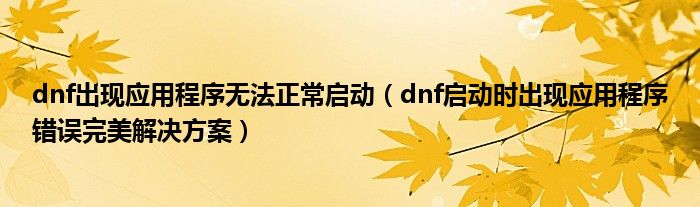 dnf消失运行错误_dnf运行时库错误